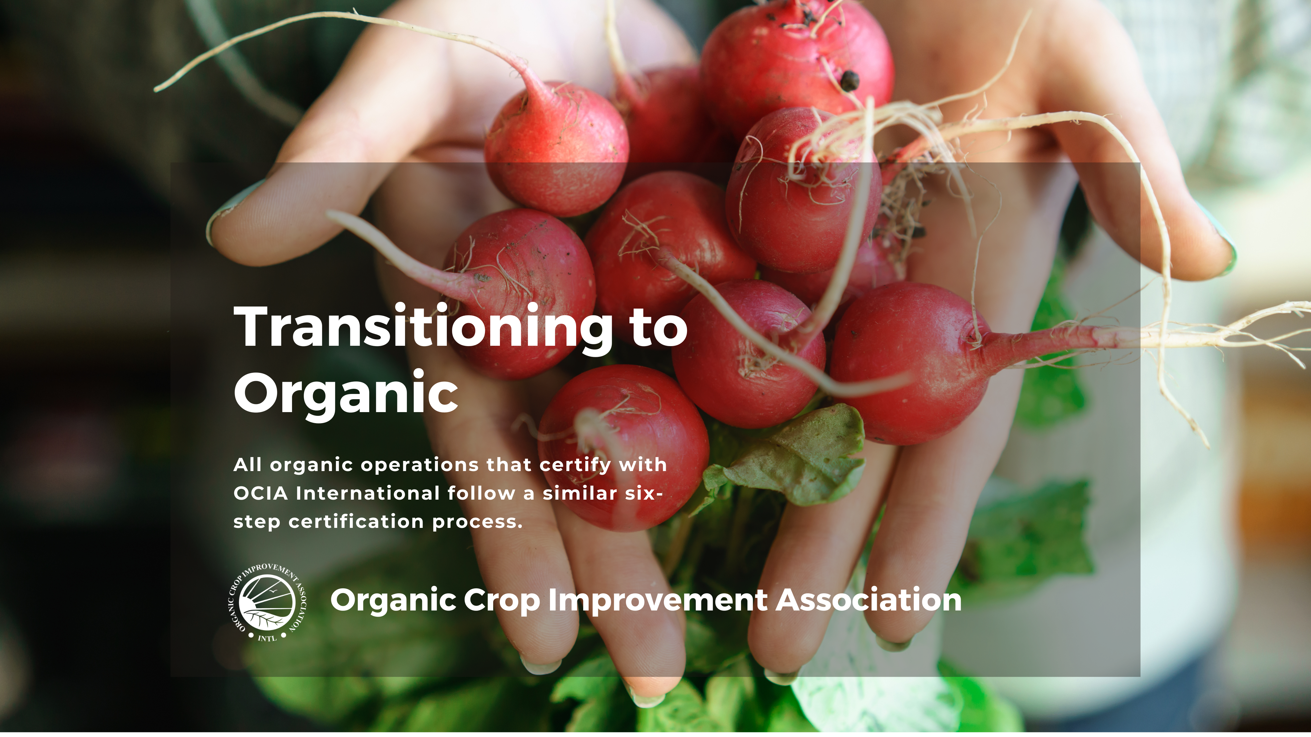 OCIA Website Transition to organic with OCIA International