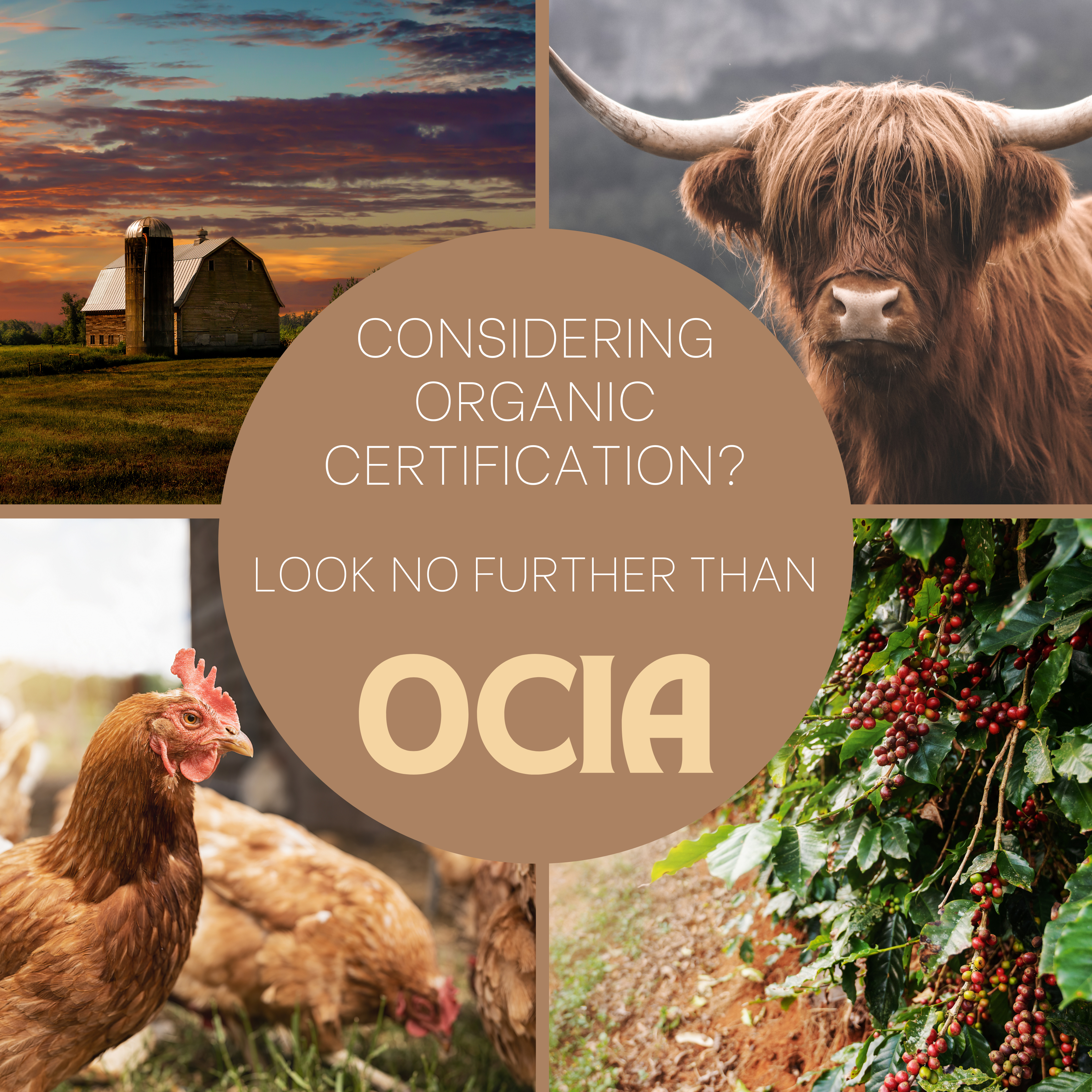 Organic Certification -- Consider OCIA International OCIA International: a leader in organic certification