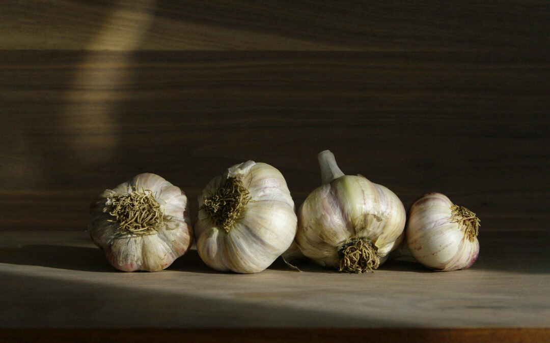 Bessette Creek Farm is an organic farm in British Columbia.