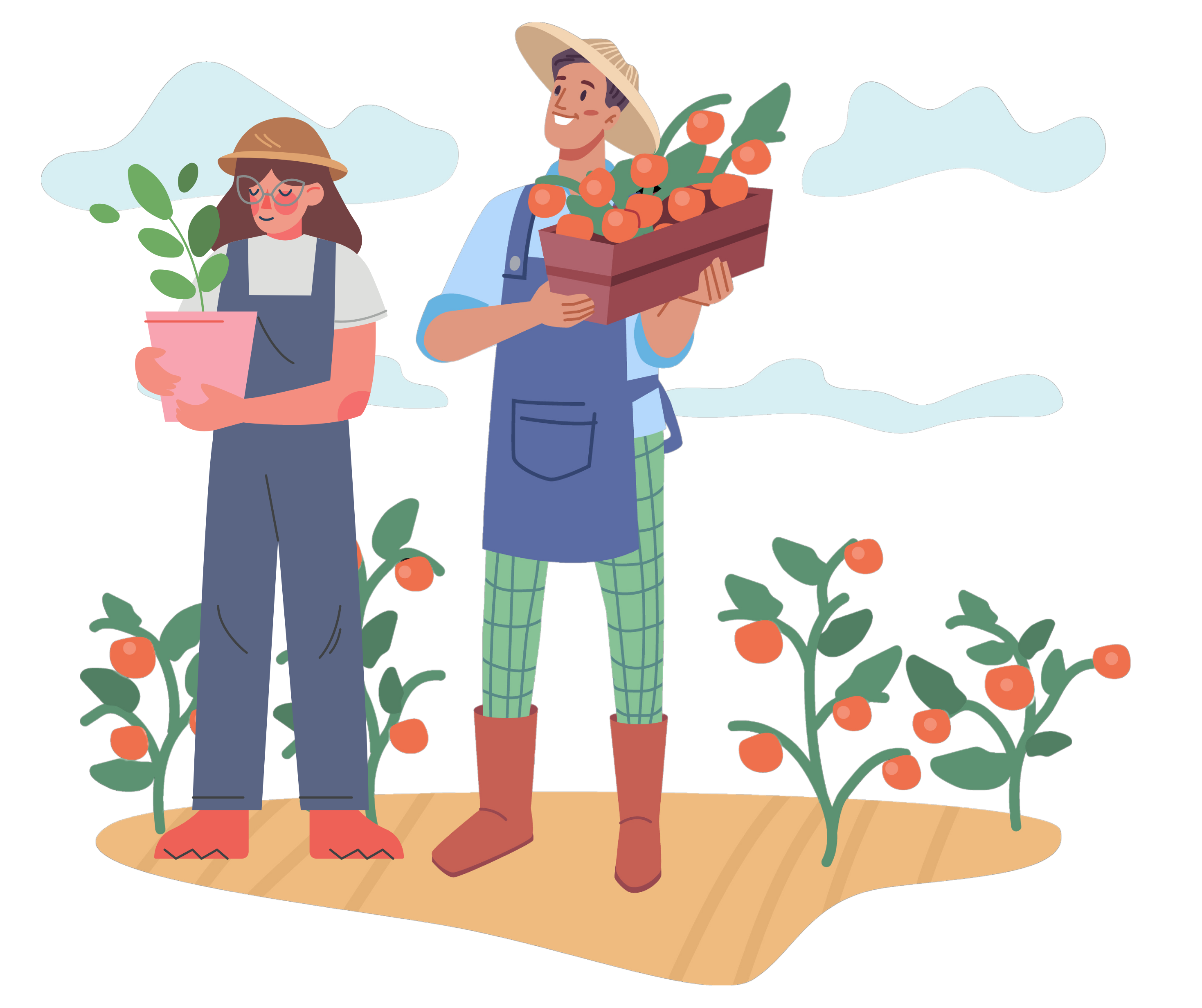 TOPP Mentorship Illustration of farmers