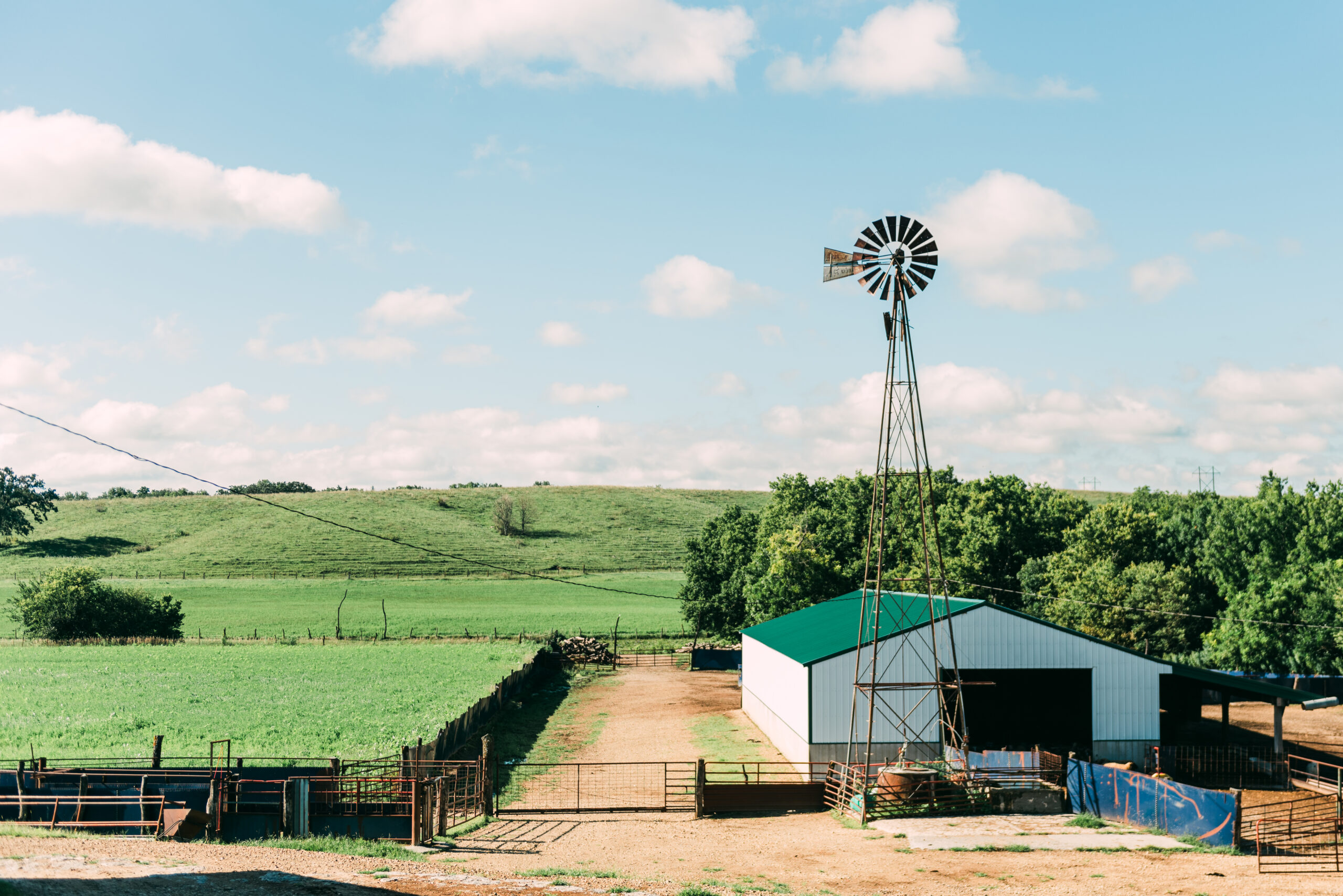 Edelman Certified Organic Farm a sustainable farm A view of the Edelman Certified Organic Farm.